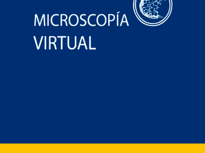 Proyecto Microscopia Virtual